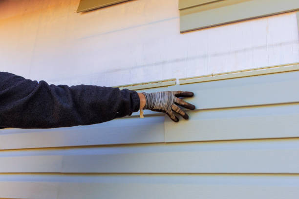 Best Custom Siding Design  in Plainview, TX